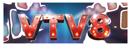 vtv8 logo